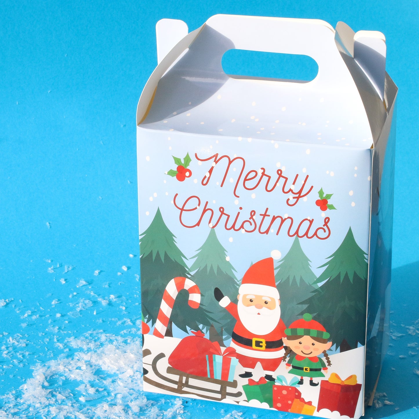 Christmas Party Treat Boxes Pack of 6