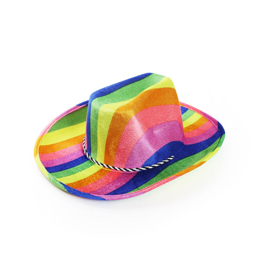 Rainbow Felt Cowboy Hat