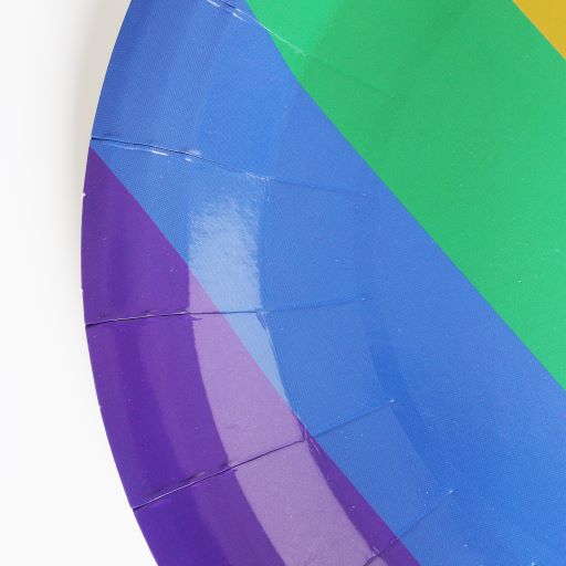 Rainbow Pride 6 Colour 9 Inch Paper Plates Pack of 10