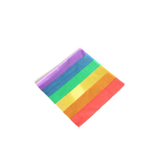 Rainbow Pride 6 Colour Paper Napkins Pack of 20