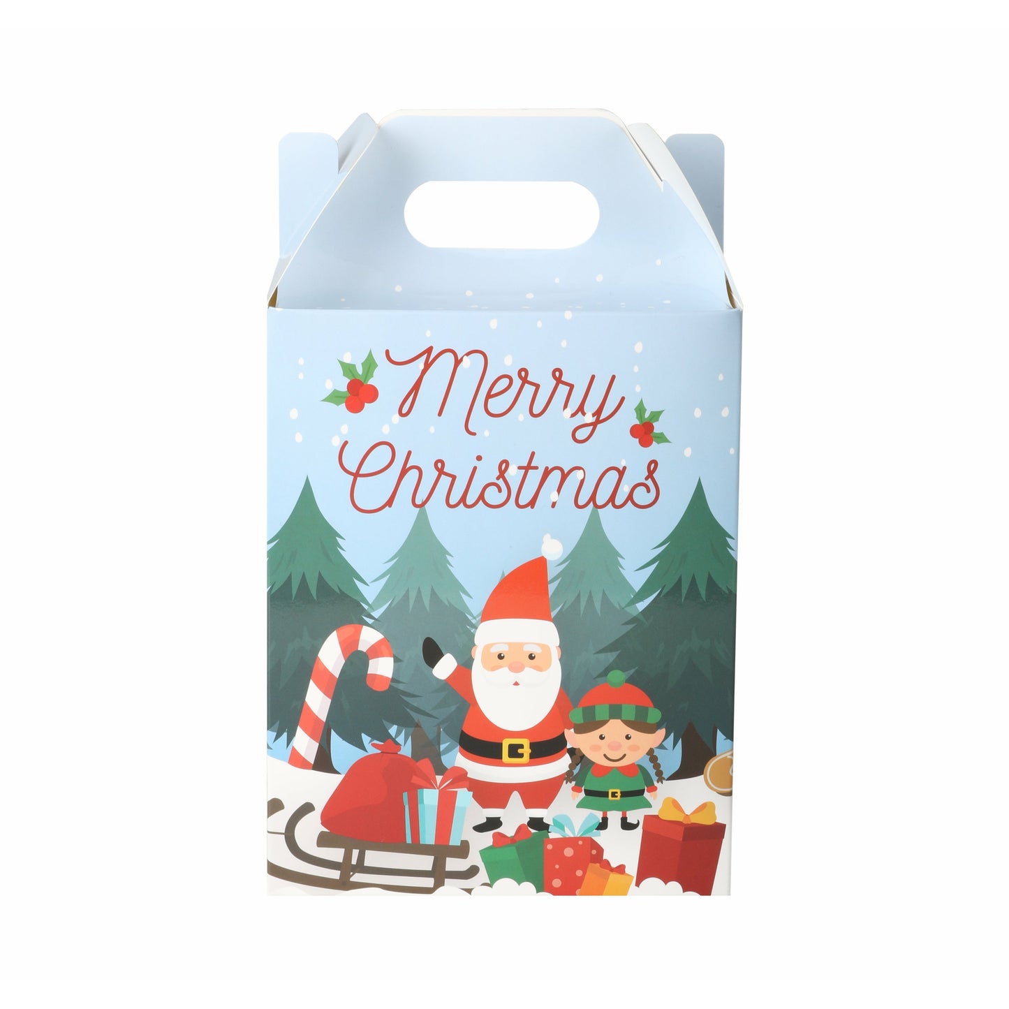 Christmas Party Treat Boxes Pack of 6