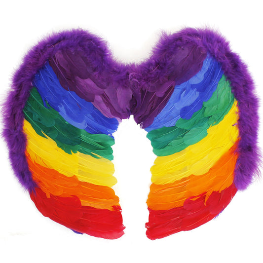Rainbow Pride Wings