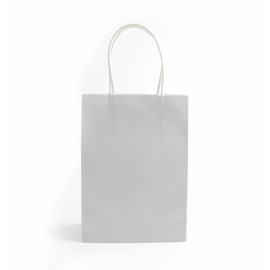 Silver Paper Bag with Handles