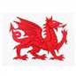 Wales Tattoo - Pack of 12