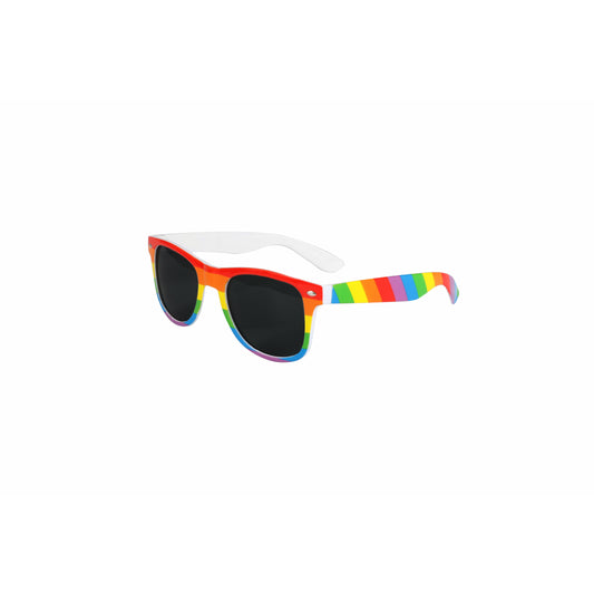 Rainbow Sunglasses Shades Pride